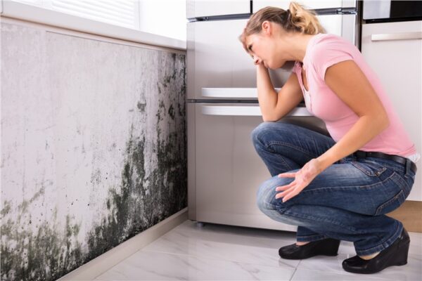 5 Signs You Have Mold at Home